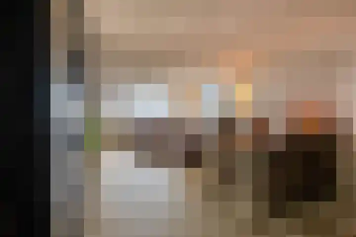 Den Uylsingel 213 Rotterdam thumbnail 15