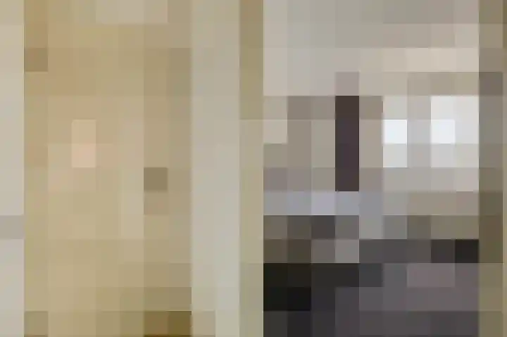 Den Uylsingel 213 Rotterdam thumbnail 26