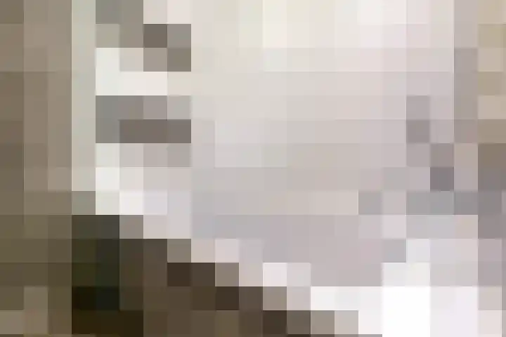 Den Uylsingel 213 Rotterdam thumbnail 31