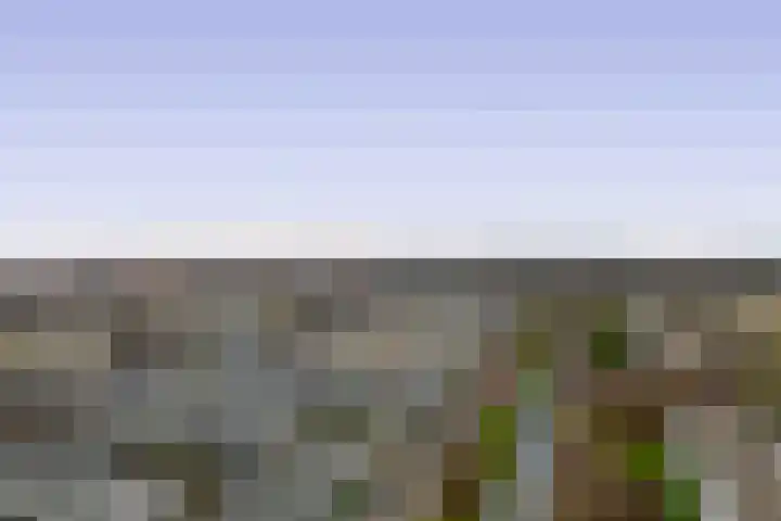 Den Uylsingel 213 Rotterdam thumbnail 35