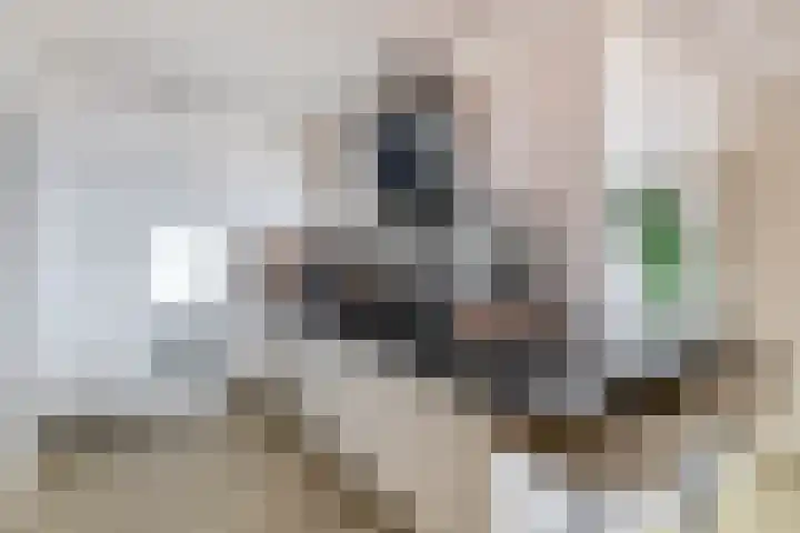Den Uylsingel 213 Rotterdam thumbnail 4