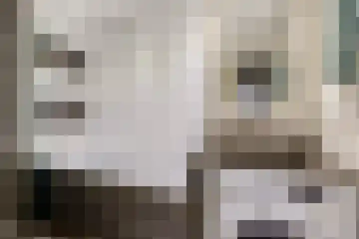Den Uylsingel 213 Rotterdam thumbnail 5