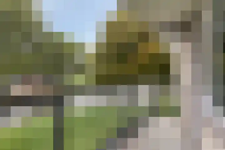Den Uylsingel 39 Rotterdam thumbnail 4