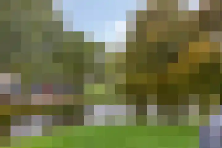 Den Uylsingel 39 Rotterdam thumbnail 5
