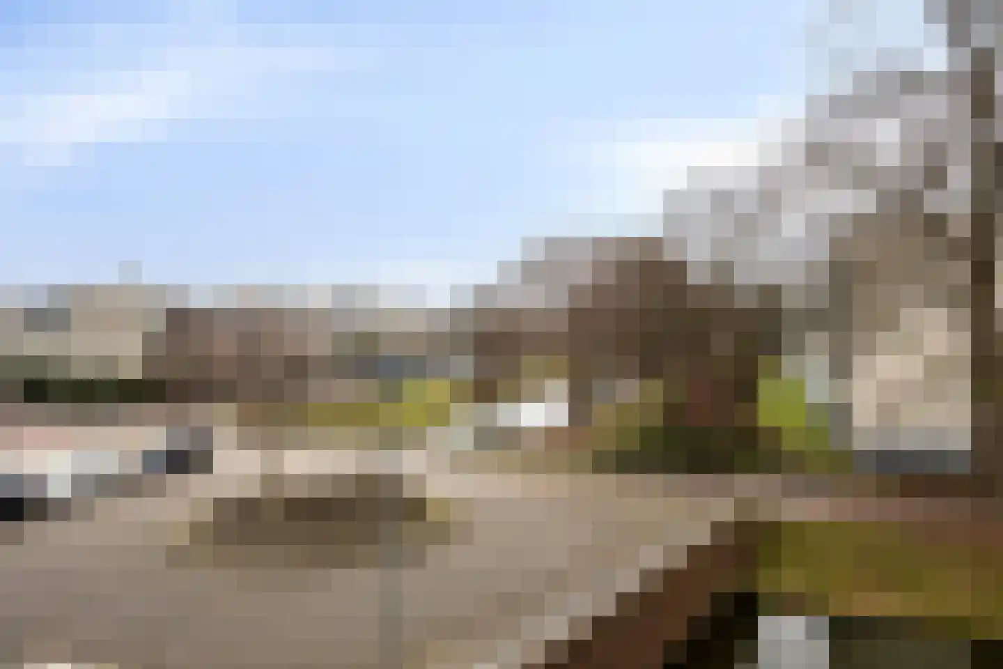 Den Uylsingel 53 Rotterdam thumbnail 6