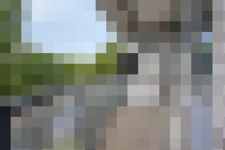 Den Uylsingel 65 Rotterdam thumbnail 4