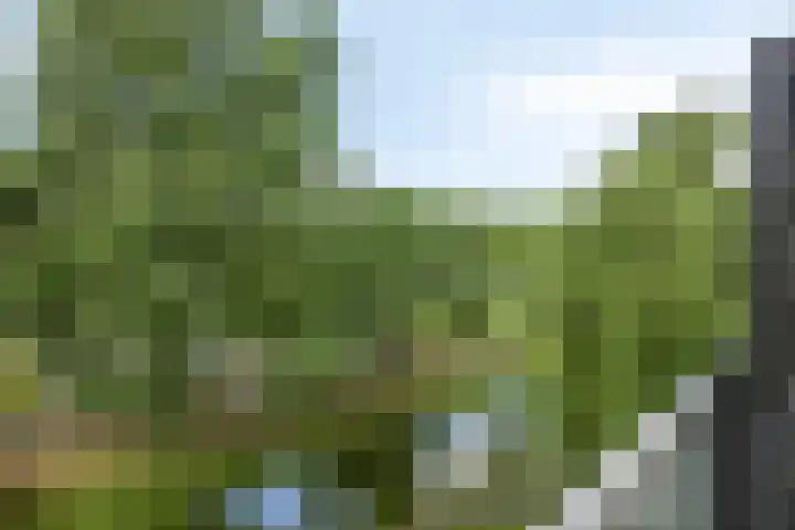 Den Uylsingel 65 Rotterdam thumbnail 5
