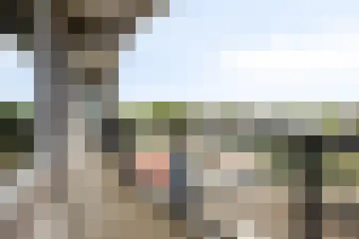 Den Uylsingel 65 Rotterdam thumbnail 6