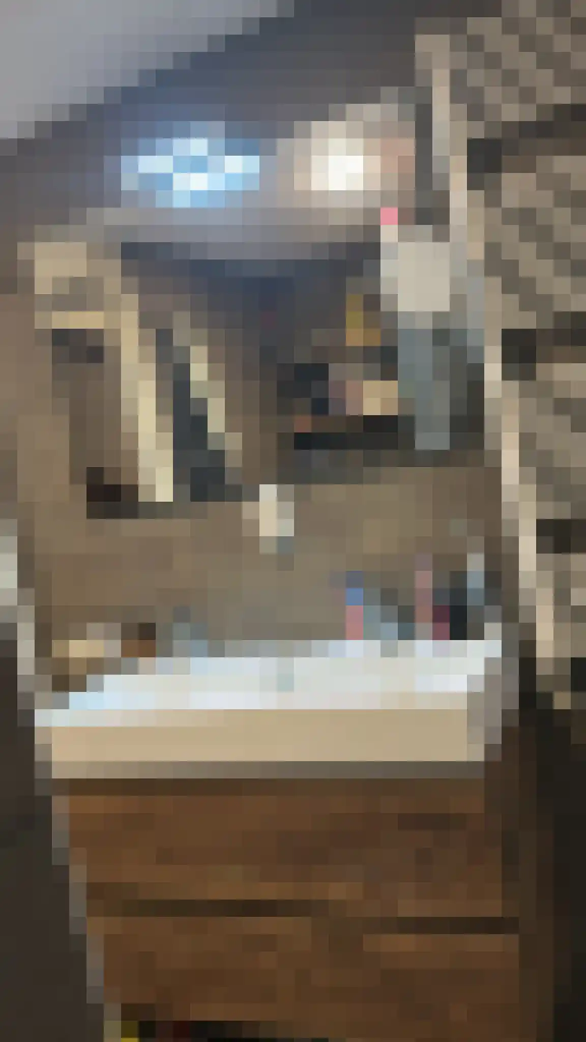 Den Uylstraat 1 Zwolle thumbnail 9
