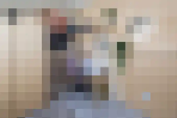 Den Uylstraat 10 Zwolle thumbnail 32