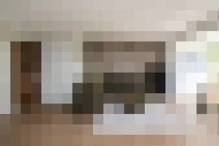 Den Uylstraat 10 Zwolle thumbnail 5