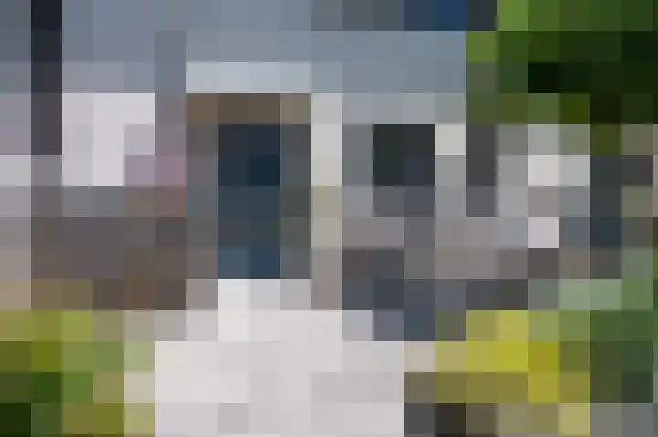 Den Uylstraat 10 Zwolle thumbnail 50