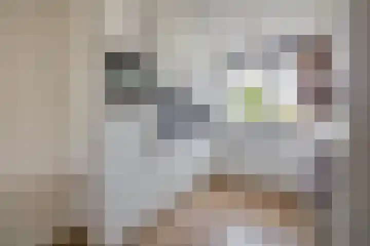 Den Uylstraat 3 Sint-Oedenrode thumbnail 10