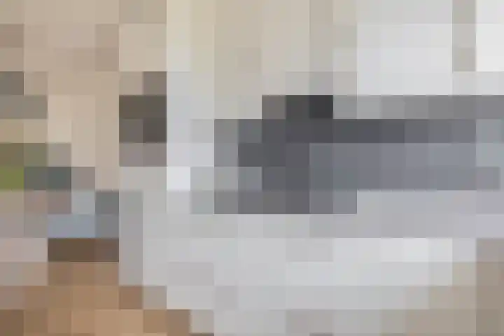 Den Uylstraat 3 Sint-Oedenrode thumbnail 11