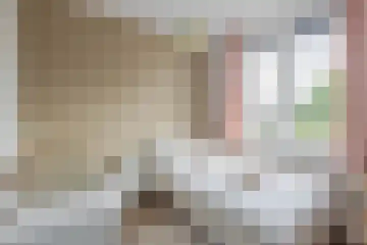 Den Uylstraat 3 Sint-Oedenrode thumbnail 18