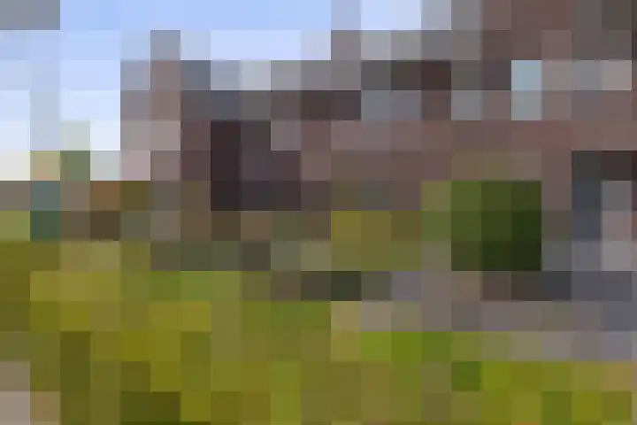 Den Uylstraat 3 Sint-Oedenrode thumbnail 33