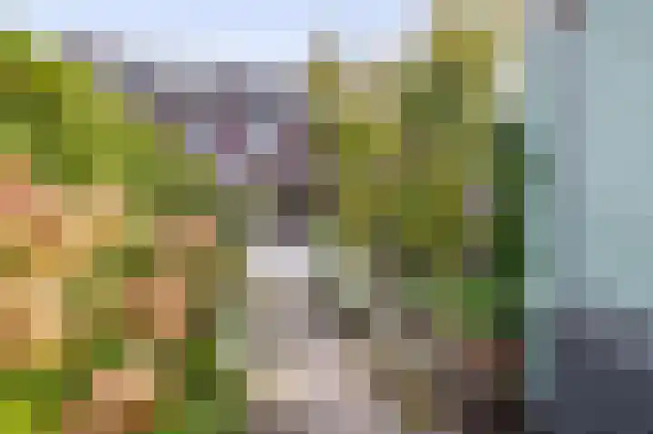 Den Uylstraat 3 Sint-Oedenrode thumbnail 4