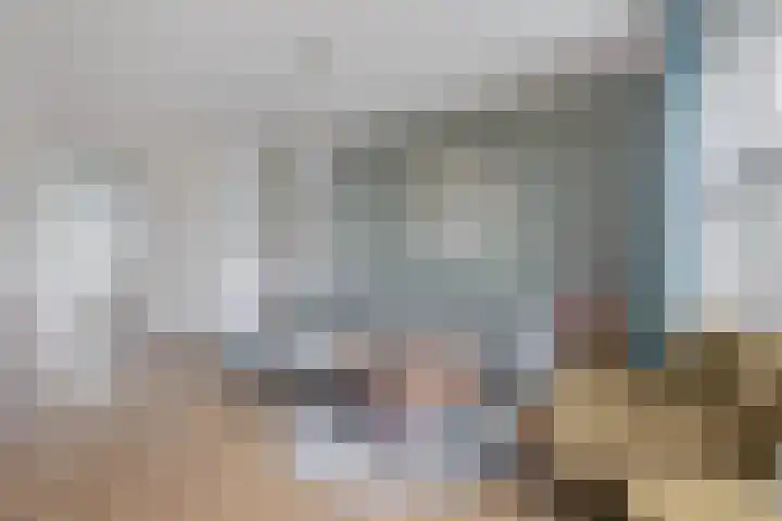 Den Uylstraat 3 Sint-Oedenrode thumbnail 6