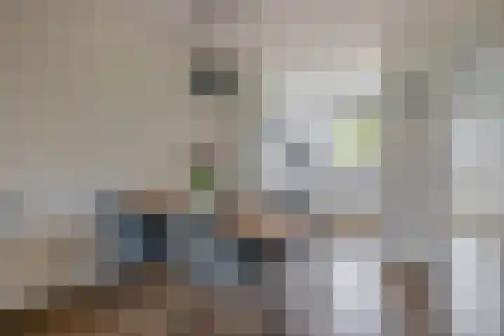 Den Uylstraat 3 Sint-Oedenrode thumbnail 7