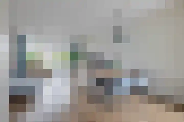 Den Uylstraat 3 Sint-Oedenrode thumbnail 9