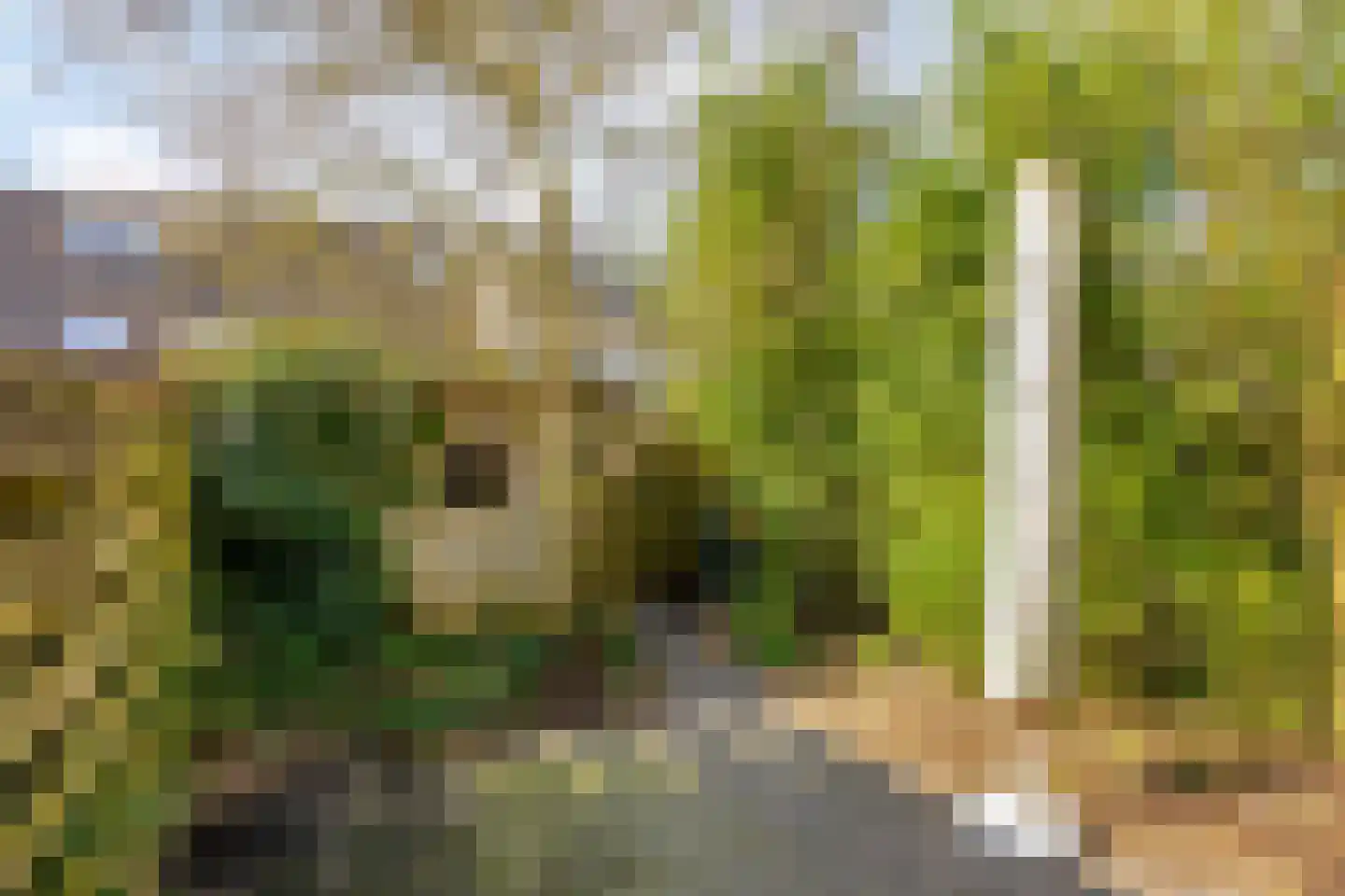 Den Uylstraat 36 Zwolle thumbnail 5