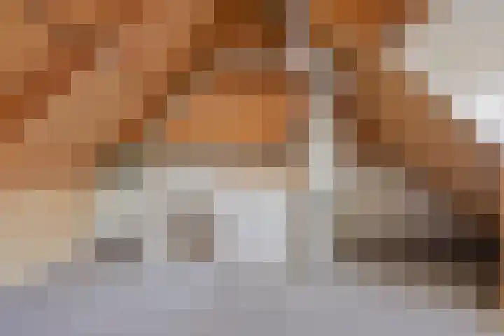 Denariehof 22 Valkenswaard thumbnail 15