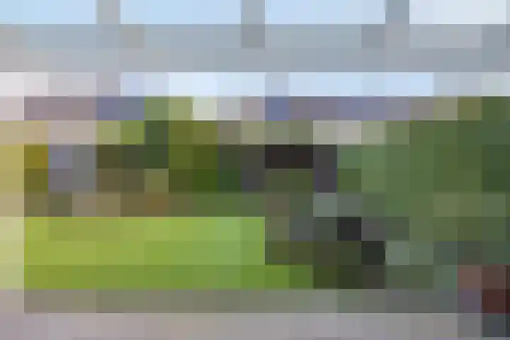 Denariehof 22 Valkenswaard thumbnail 16
