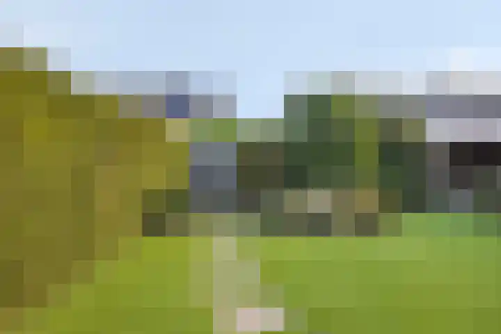 Denariehof 22 Valkenswaard thumbnail 17