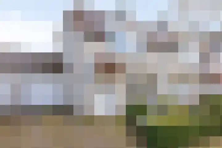 Denariehof 22 Valkenswaard thumbnail 21