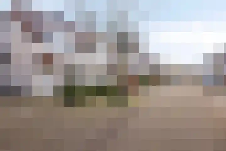 Denariehof 22 Valkenswaard thumbnail 23