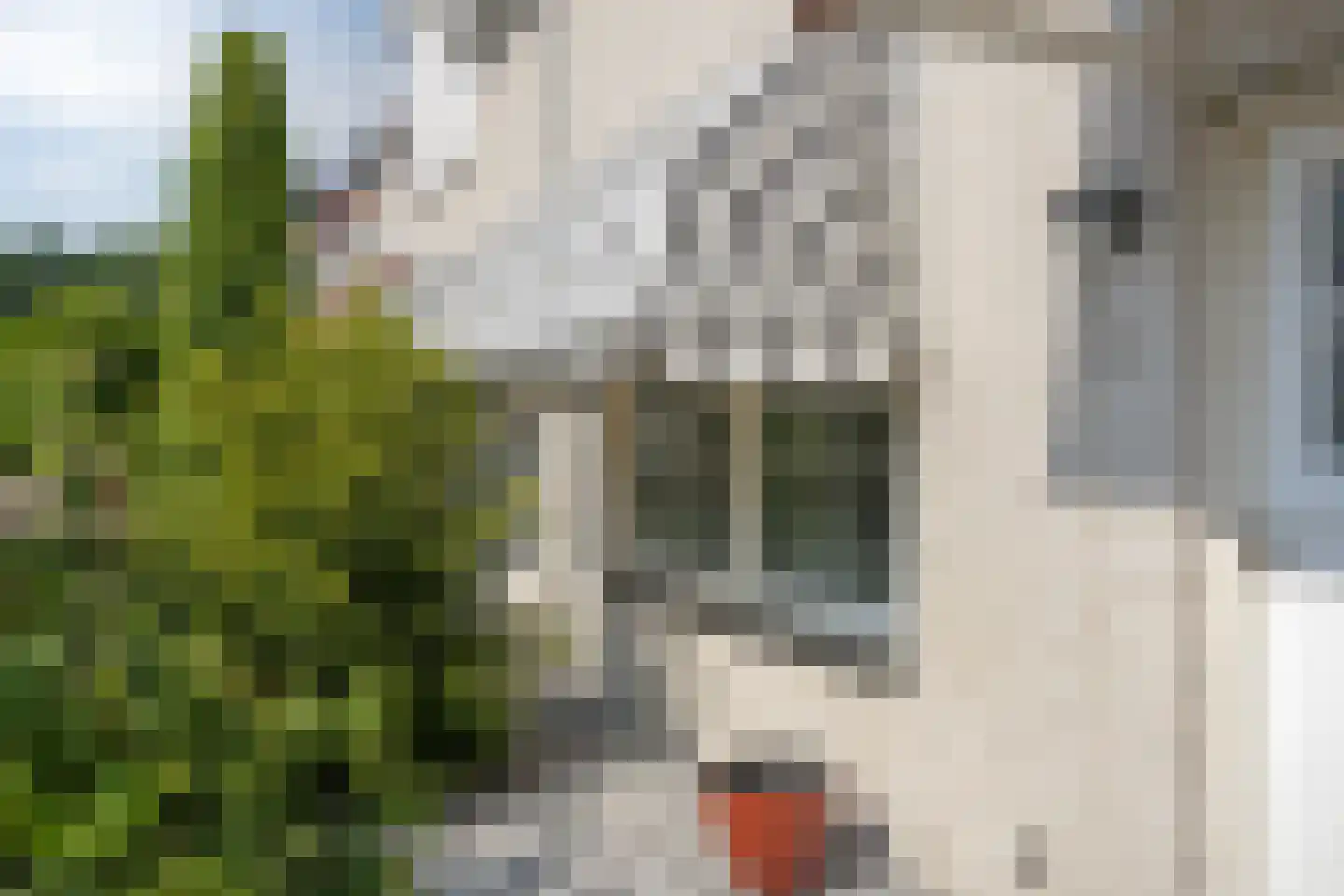Denariehof 6 Valkenswaard thumbnail 32