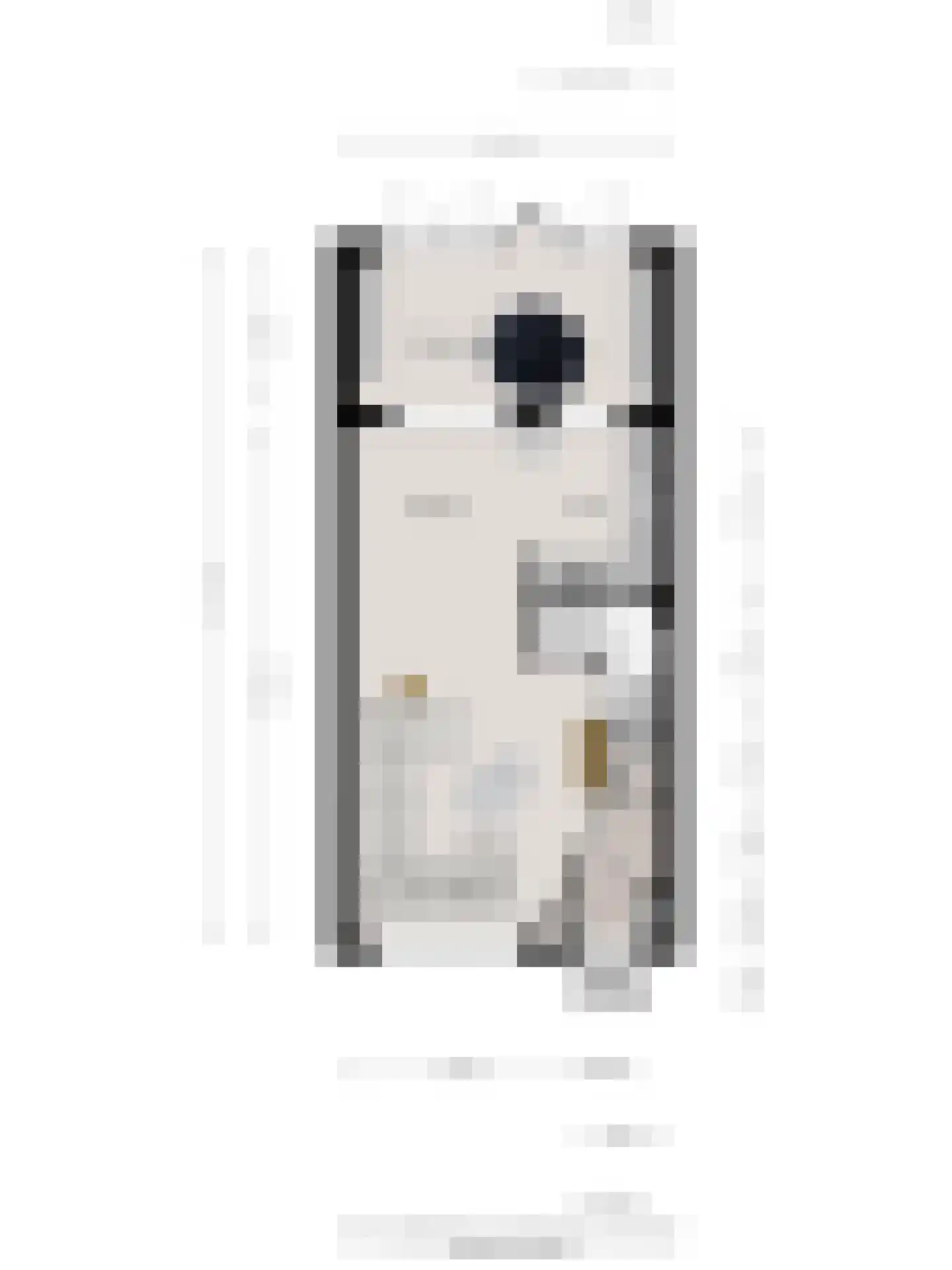 Denariehof 6 Valkenswaard thumbnail 34