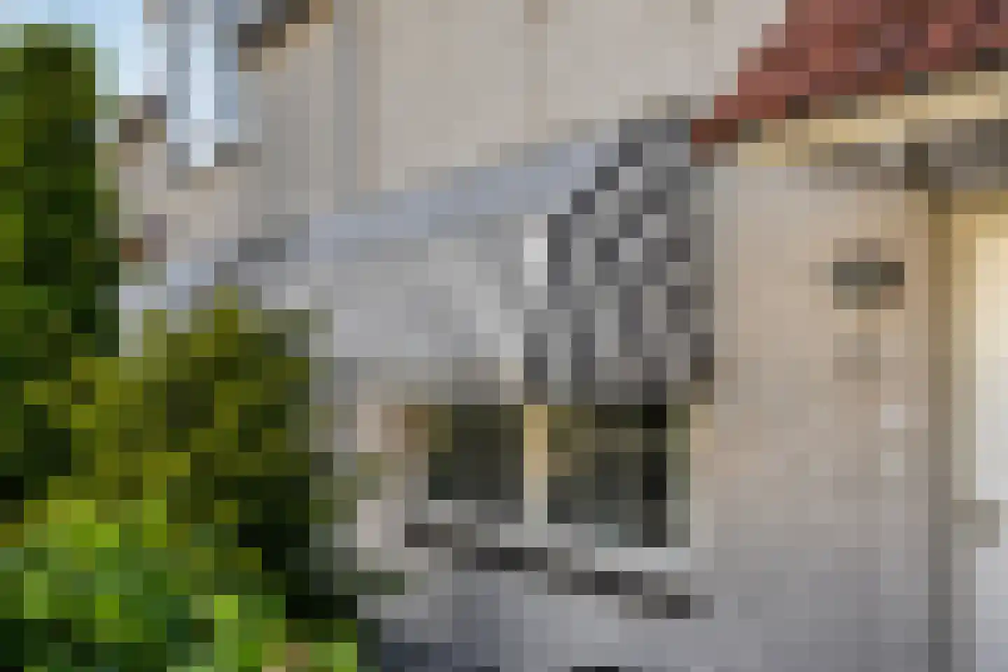 Denariehof 6 Valkenswaard thumbnail 36