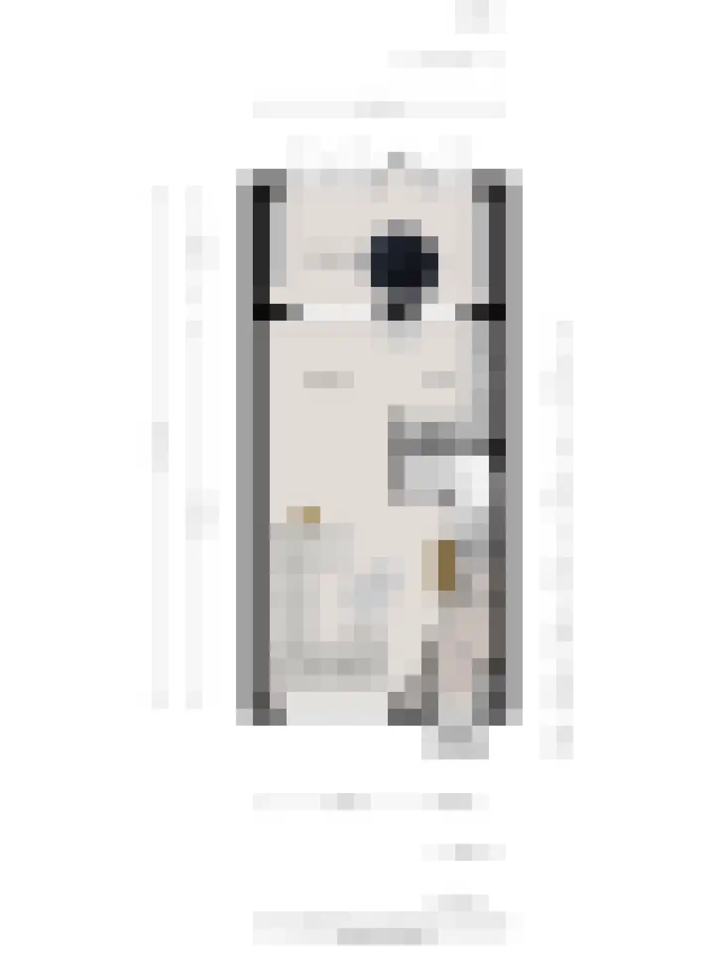 Denariehof 6 Valkenswaard thumbnail 37