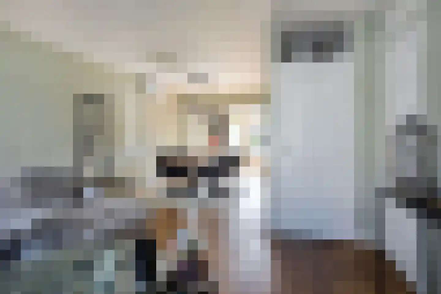 Denariehof 6 Valkenswaard thumbnail 6