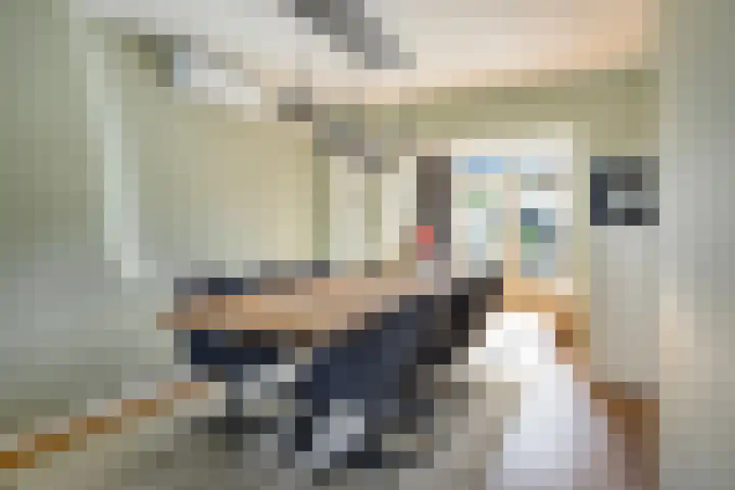 Denariehof 6 Valkenswaard thumbnail 7
