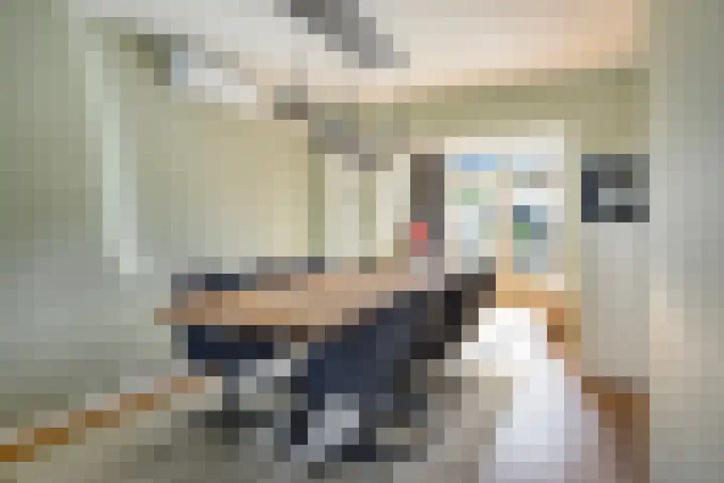 Denariehof 6 Valkenswaard thumbnail 7