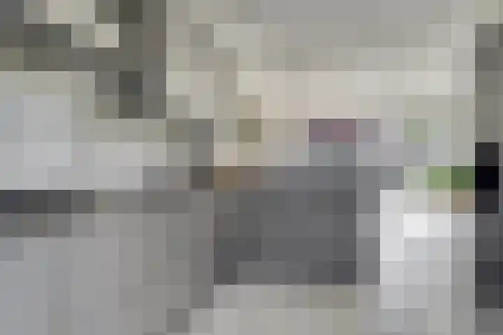 Denarius 24 Elst thumbnail 11
