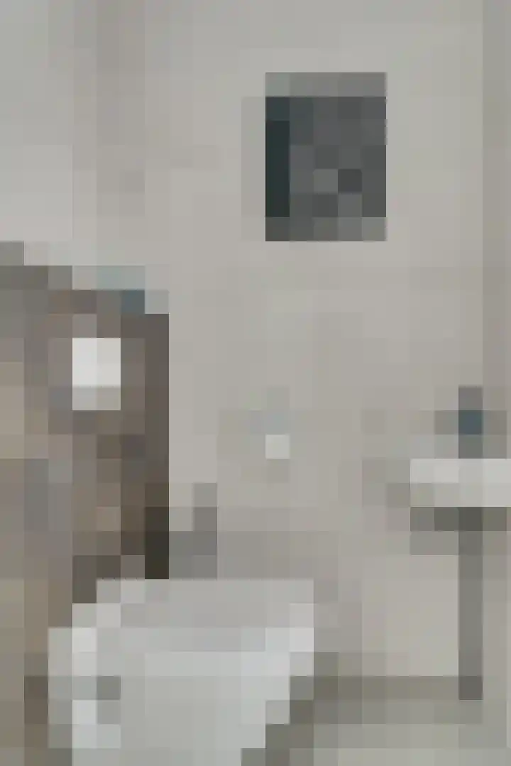 Denarius 24 Elst thumbnail 12