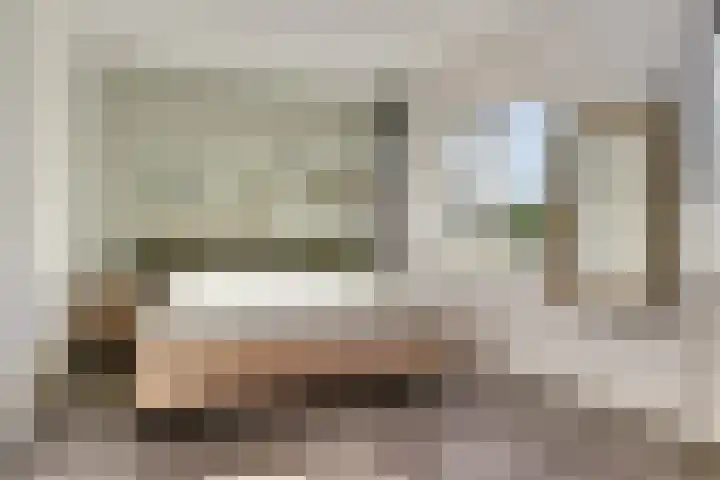 Denarius 24 Elst thumbnail 14
