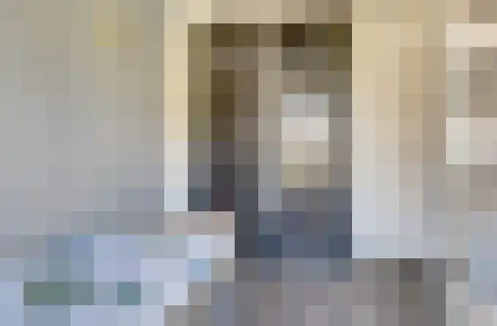 Denarius 24 Elst thumbnail 18