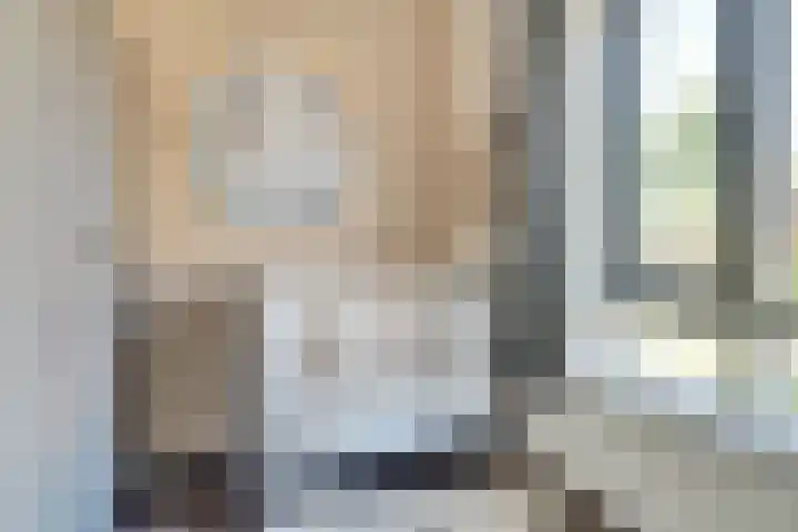 Denarius 24 Elst thumbnail 20