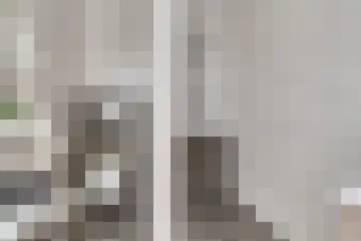 Denarius 24 Elst thumbnail 21