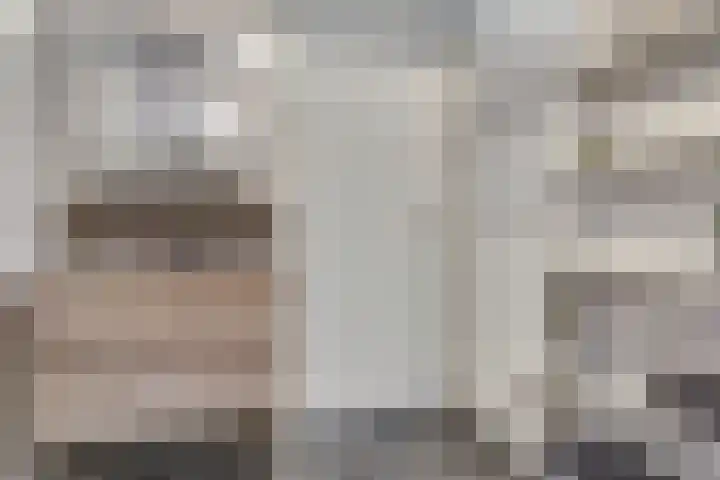 Denarius 24 Elst thumbnail 22