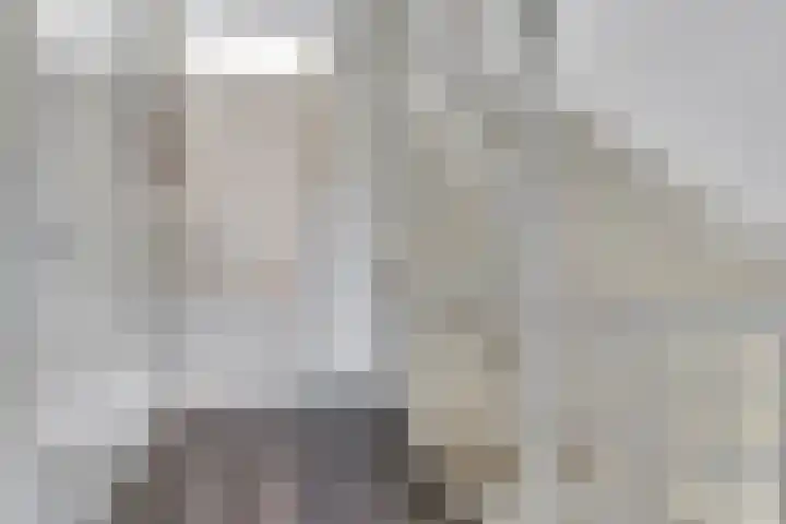 Denarius 24 Elst thumbnail 23