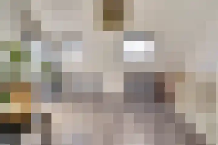 Denarius 24 Elst thumbnail 24