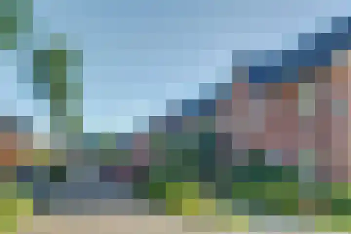 Denarius 24 Elst thumbnail 26