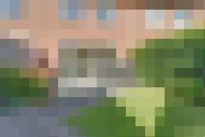 Denarius 24 Elst thumbnail 28