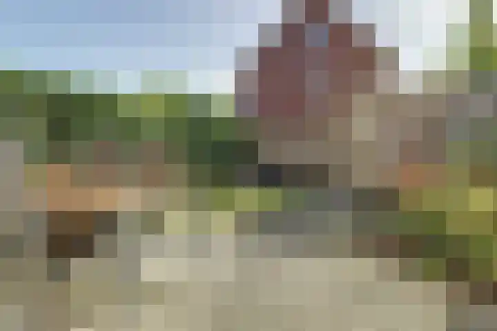 Denarius 24 Elst thumbnail 29