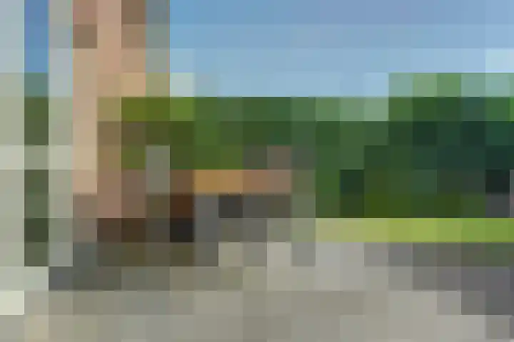 Denarius 24 Elst thumbnail 30